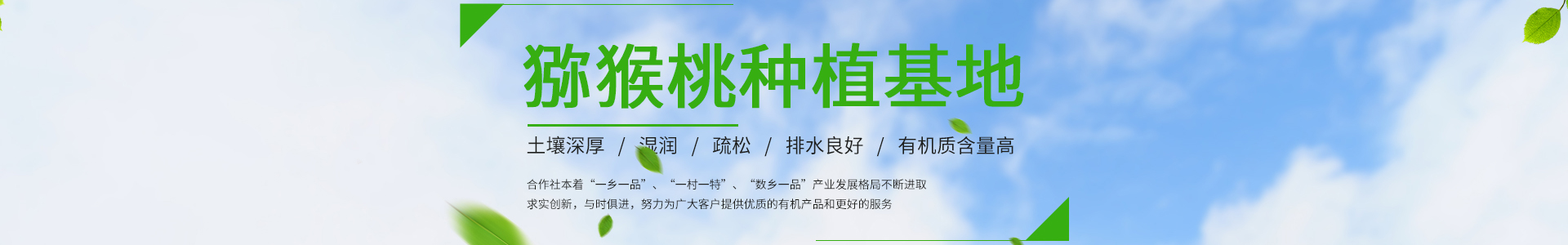 必威|必威·betway(China)官方网站